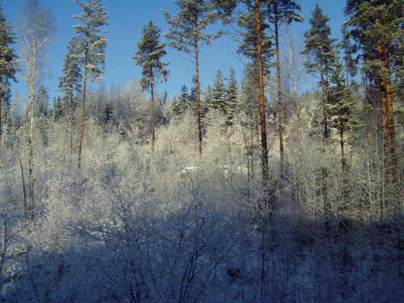 Saimaa - Am größten See Finnlands - 