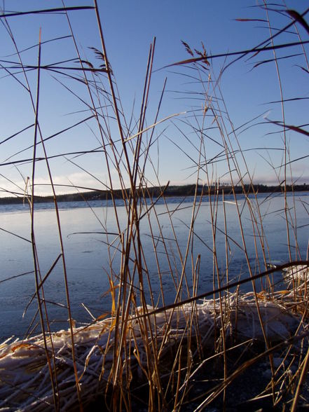 Saimaa - Am größten See Finnlands - 