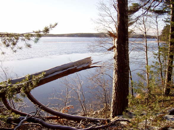 Saimaa - Am größten See Finnlands - 