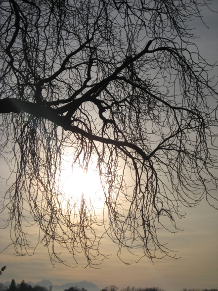 Ein Spaziergang am Bodensee - 