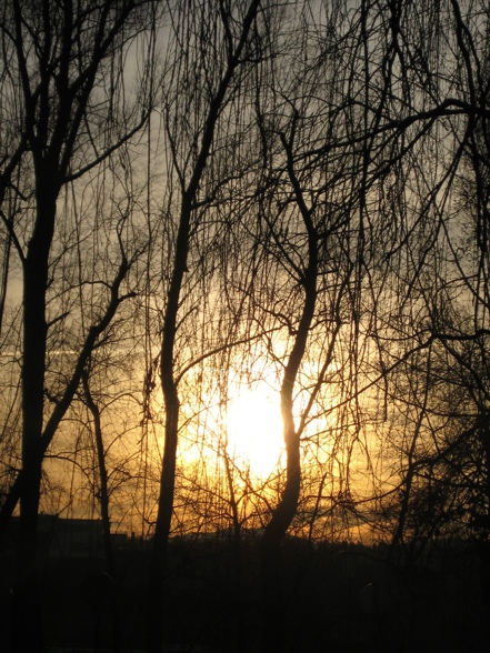 Ein Spaziergang am Bodensee - 