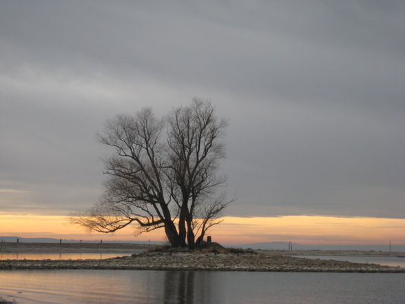 Ein Spaziergang am Bodensee - 