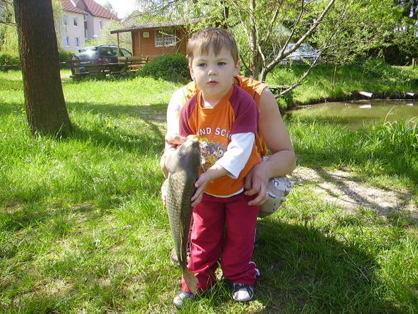 Fischen 2008 - 