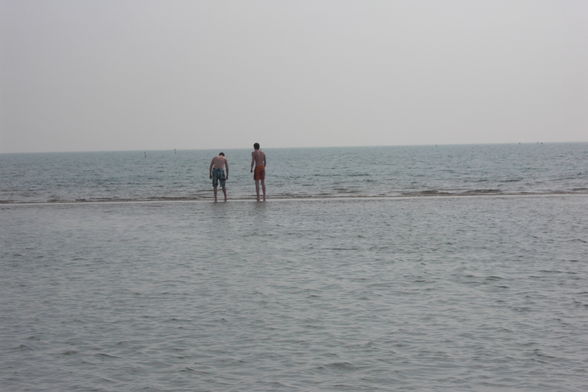 ?BiBiOnE?2009?TuNeSiEn? - 