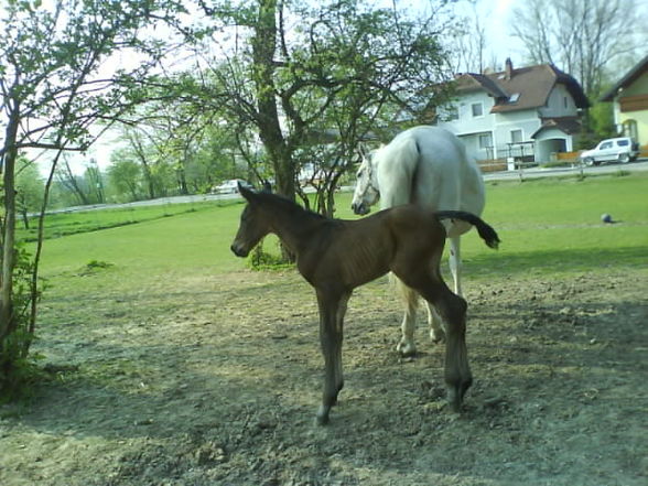 baby´s und mama  - 