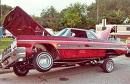 LoWrIdErS - 