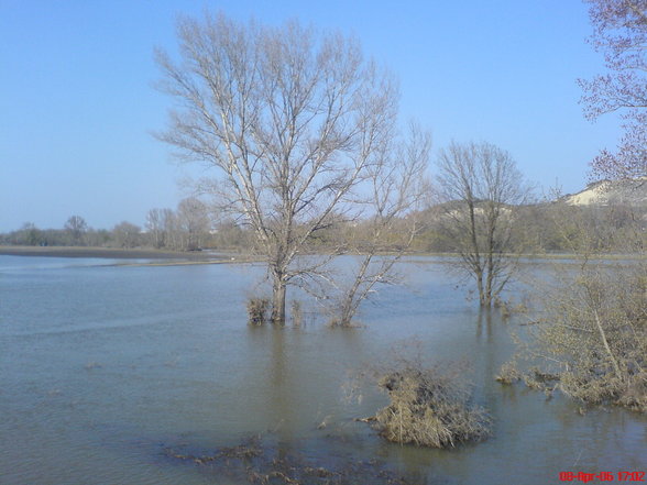 Natur und all die schönen Dinge - 