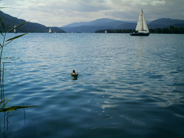 Urlaub am Wörthersee - 