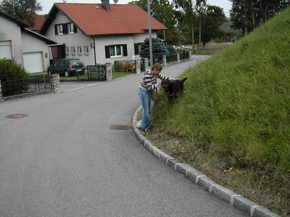 Mei Cora Schatzi und mei Mauzzi - 