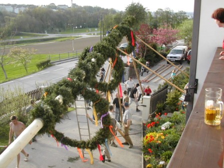 Maibaum für Joschi - 