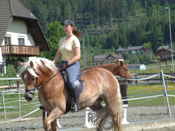 MEIN BURLI, MEIN PFERD Nashville!!! - 