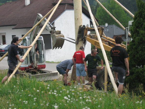 Maibaum 2007 - 