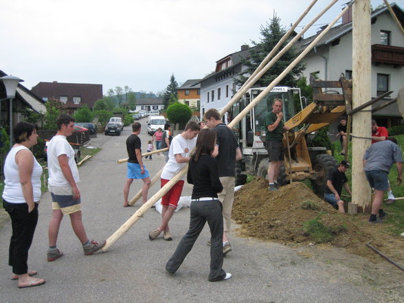 Maibaum 2007 - 