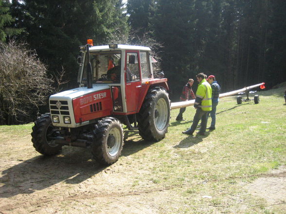 Maibaum 2008 - 