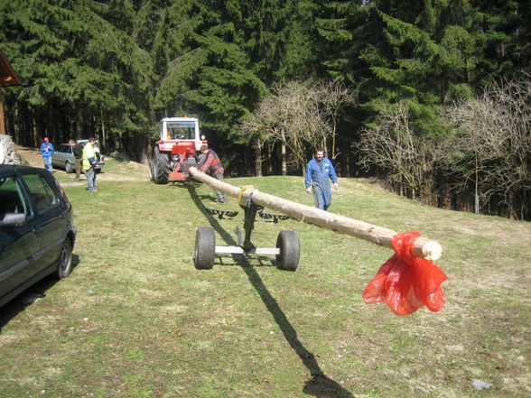 Maibaum 2008 - 