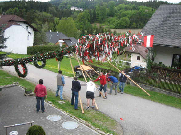 Maibaum 2008 - 