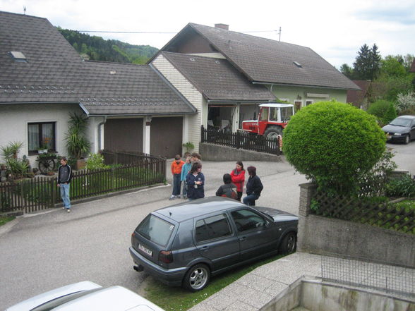 Maibaum 2008 - 