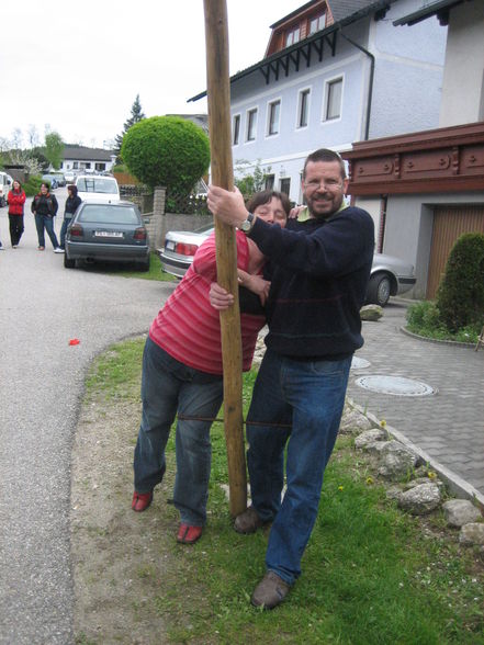 Maibaum 2008 - 