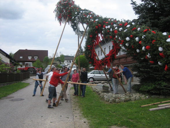 Maibaum 2008 - 