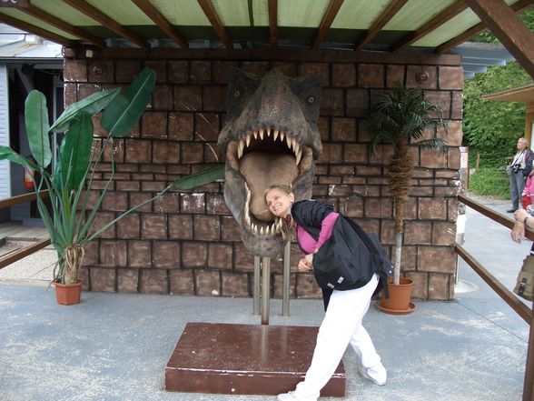 Dinopark  - 