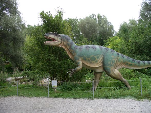 Dinopark  - 