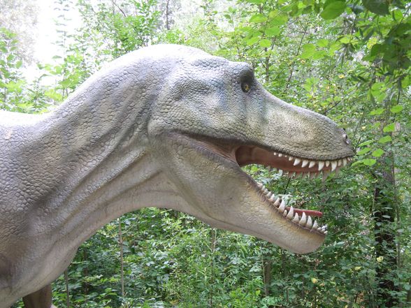 Dinopark  - 