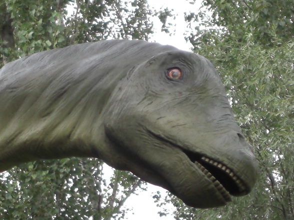 Dinopark  - 