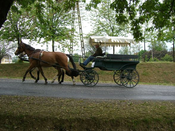 Erhohlung in Ungarn - 