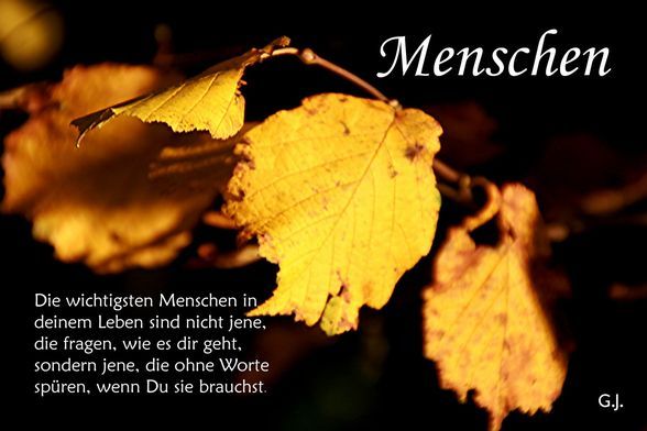 Weisheiten - 