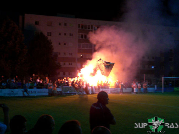 SV Ried!!!!anti lask - 