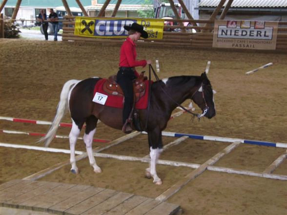 ÖM Paint Horse 2008 - 