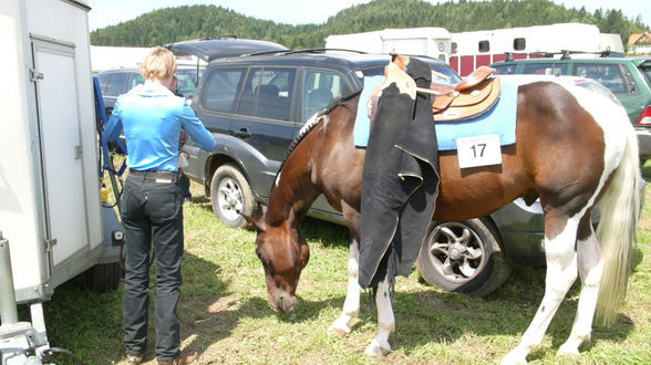 ÖM Paint Horse 2008 - 