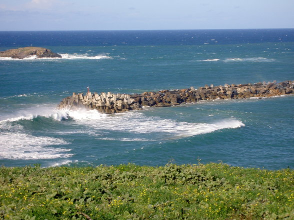 Surfing-trip to byron bay - 