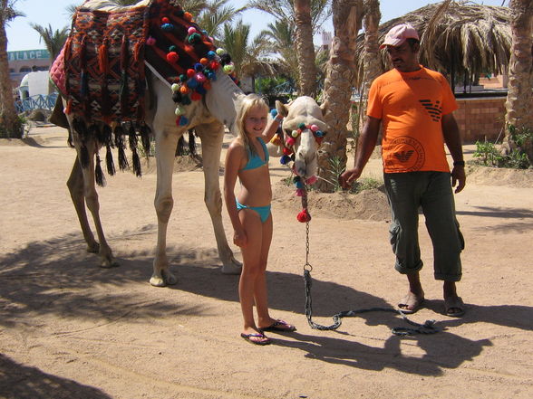 urlaub 2008 in ägypten - 