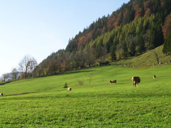 Mein neues Zuhause: Leogang im Pinzgau - 