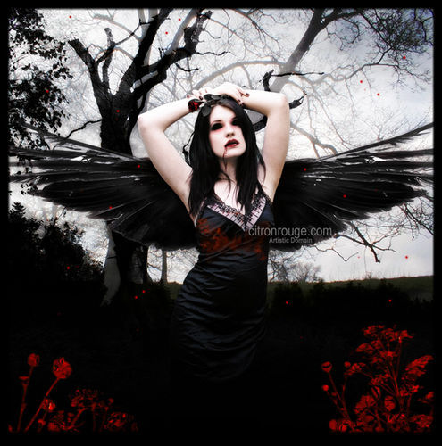 Dark Angel - 