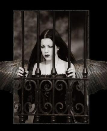 Dark Angel - 