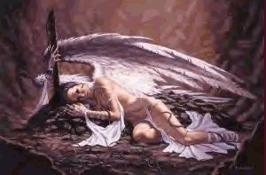 Angel - 