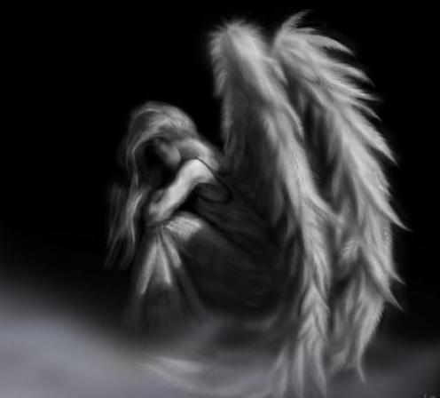 Angel - 