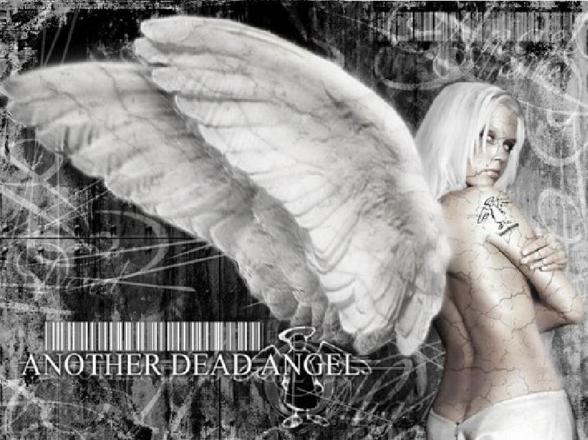 Angel - 