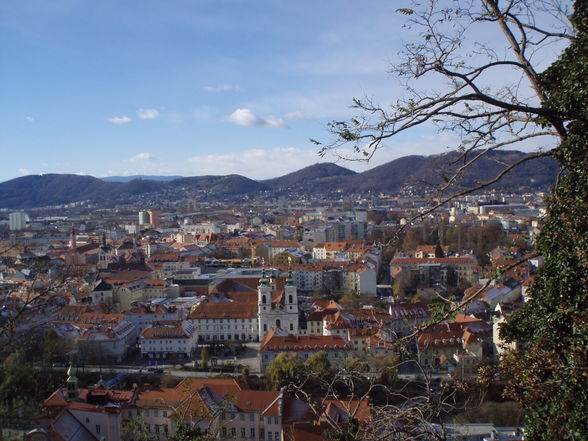 Graz 22-23 November 2008 - 