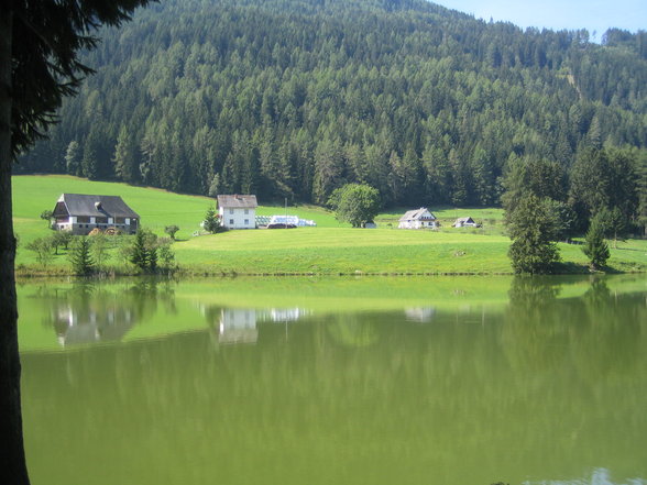 Fischen Zeutschach Steiermark - 