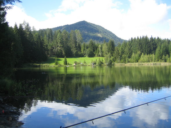 Fischen Zeutschach Steiermark - 