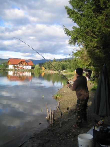 Fischen Zeutschach Steiermark - 