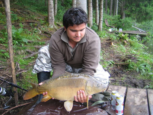 Fischen Zeutschach Steiermark - 