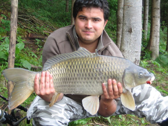 Fischen Zeutschach Steiermark - 