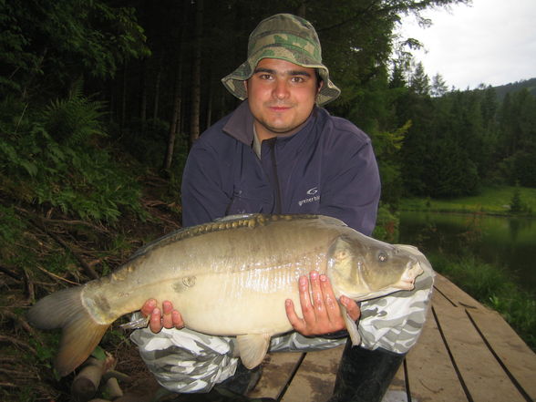 Fischen Zeutschach Steiermark - 