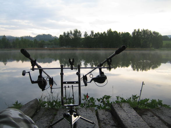 Fischen Zeutschach Steiermark - 