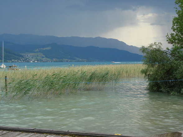 am Attersee - 