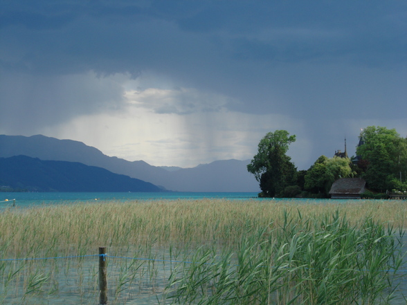 am Attersee - 